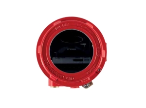 DETECTOR DE FLACARA CU IR DUAL, DE INTERIOR